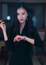 制裁者的游戏（25集） 高清完整版