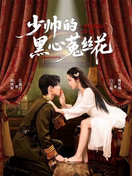 少帅的黑心菟丝花（60集）耿致忻＆白雪茹 高清完整版