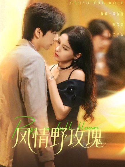 风情野玫瑰＆揉碎玫瑰（70集）方思畅＆冯子毅 高清完整版