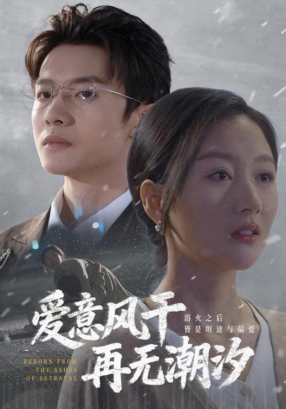 爱意风干再无潮汐（69集）程汁&魏梦迪&蔡长源 高清完整版